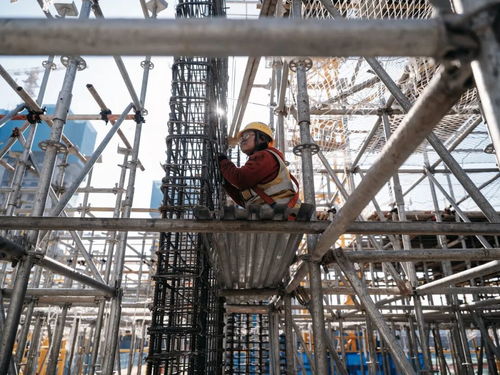 钢铁玫瑰，冬日绽放 一位00后女钢筋工的工地六年